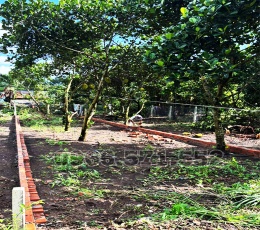 NGAY NGÃ 3 ÔNG PHÚC, P BẢO VINH, ĐN | 5M×24,8M, SỔ RIÊNG, FULL THỔ CƯ | GIÁ ĐẦU...